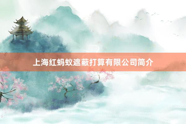 上海红蚂蚁遮蔽打算有限公司简介