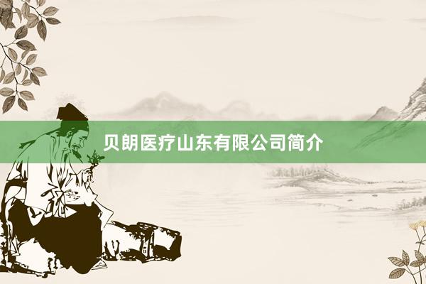 贝朗医疗山东有限公司简介
